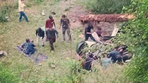 दर्दनाक:आनी में तेज तूफान से गाड़ी पर गिरा पेड़,चार महिला शिक्षकों की मौत।
