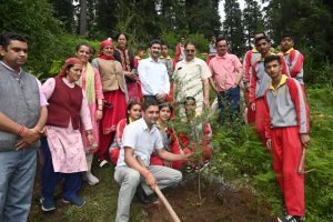 नारकण्डा में सेशन न्यायाधीश रामपुर ने किया पौधरोपण,पर्यावरण संरक्षण का दिया संदेश।